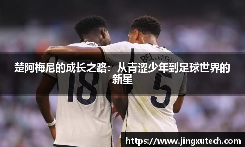 bwin必赢